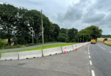 معرفی بهترین تولید کننده نیوجرسی