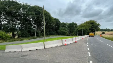 معرفی بهترین تولید کننده نیوجرسی