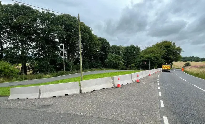 معرفی بهترین تولید کننده نیوجرسی